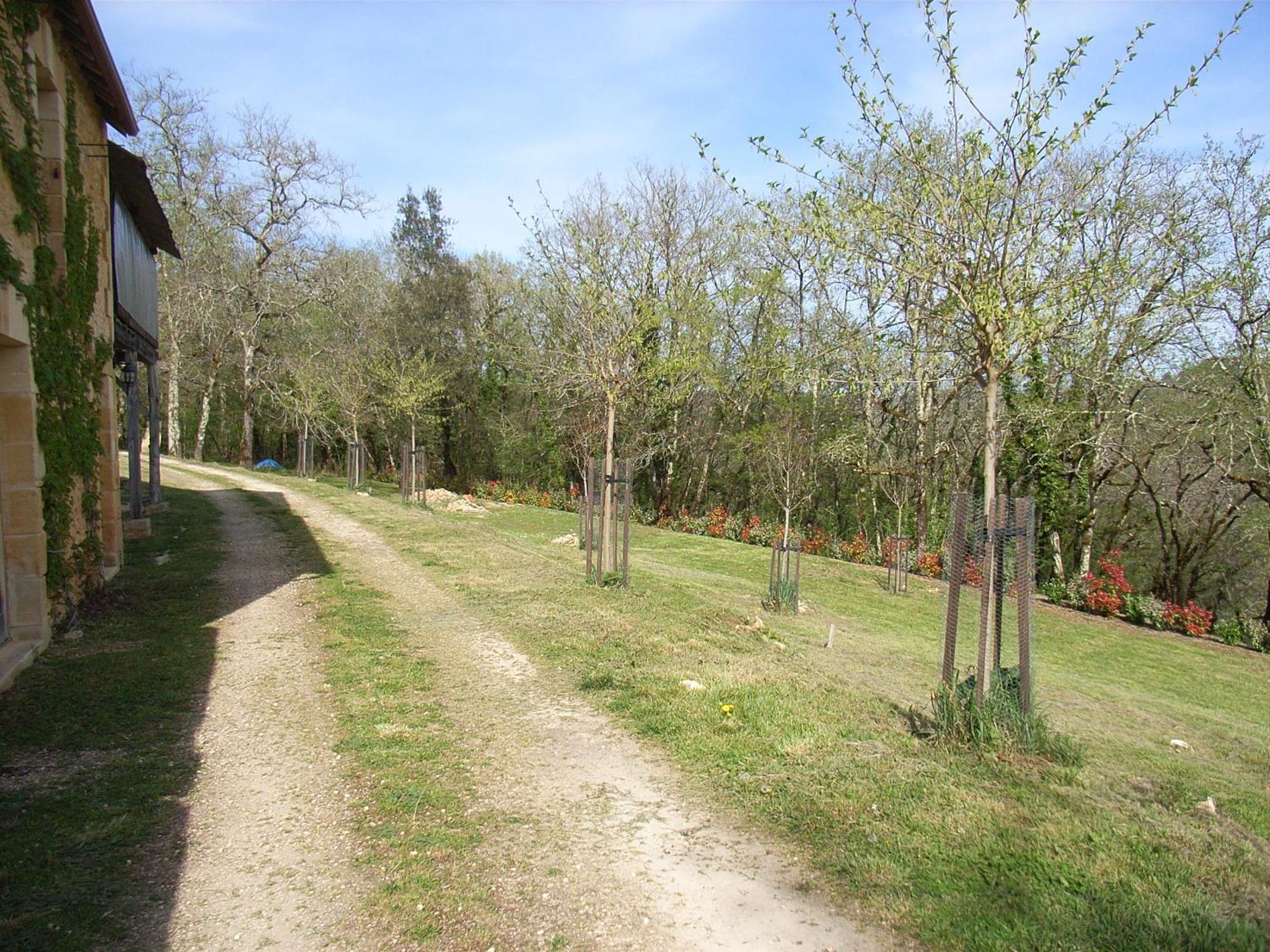 Studio Aux Eyzies Au Coeur De La Vallee De L'Homme Les Eyzies Luaran gambar